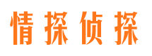 平远调查事务所